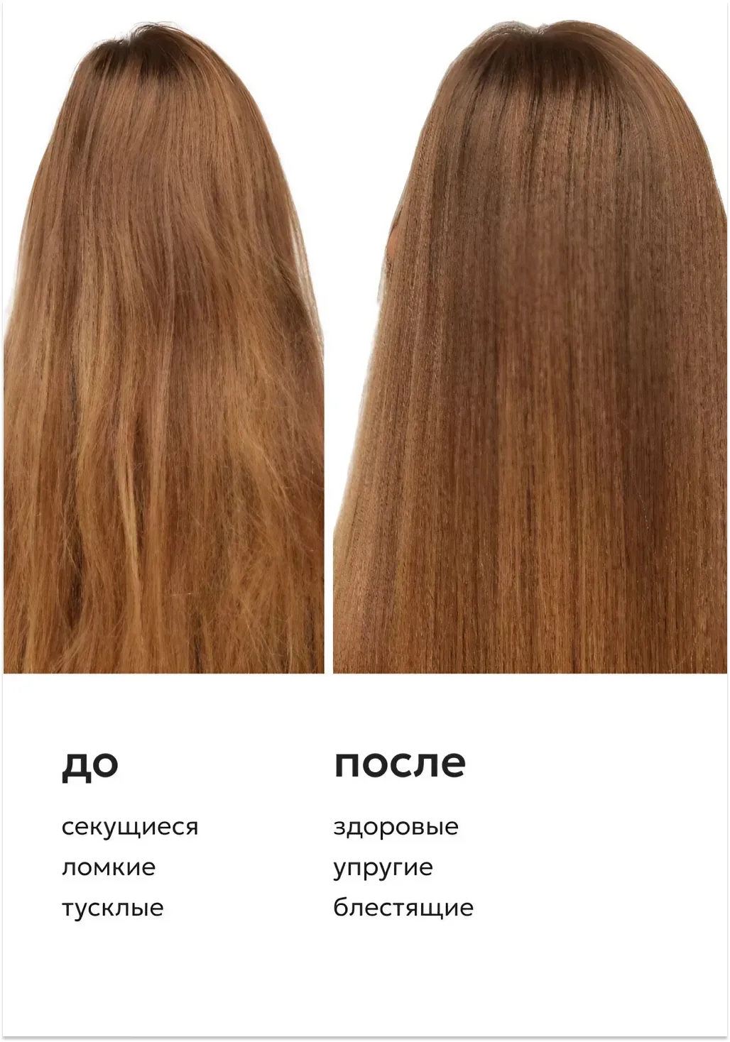 productImg