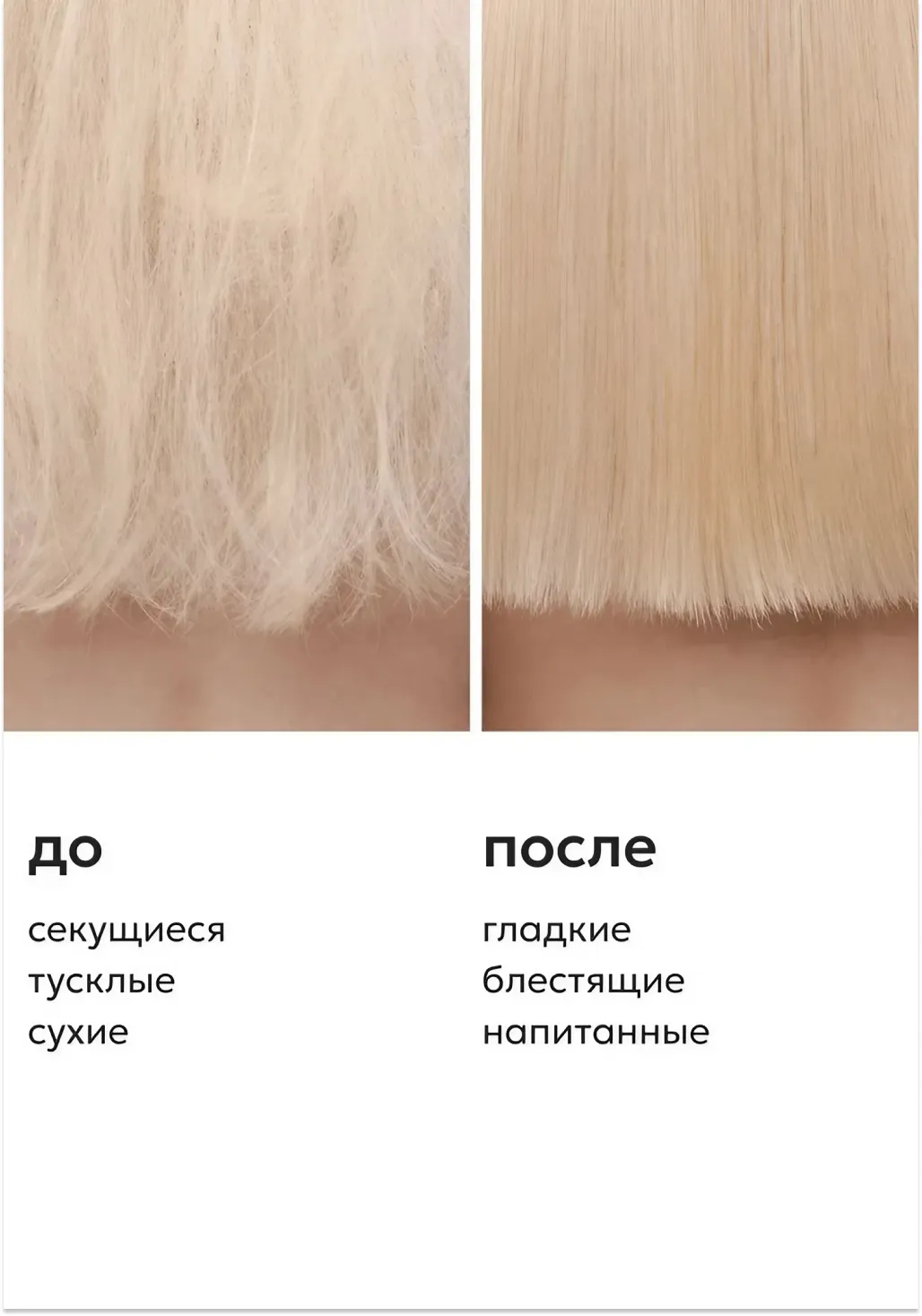 productImg