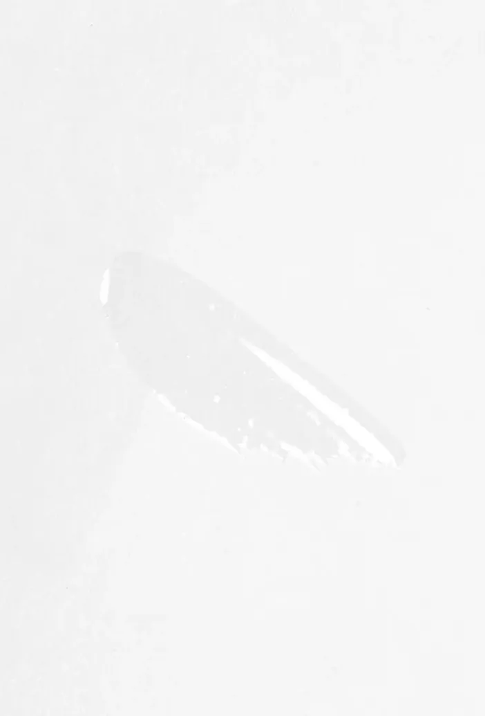 productImg