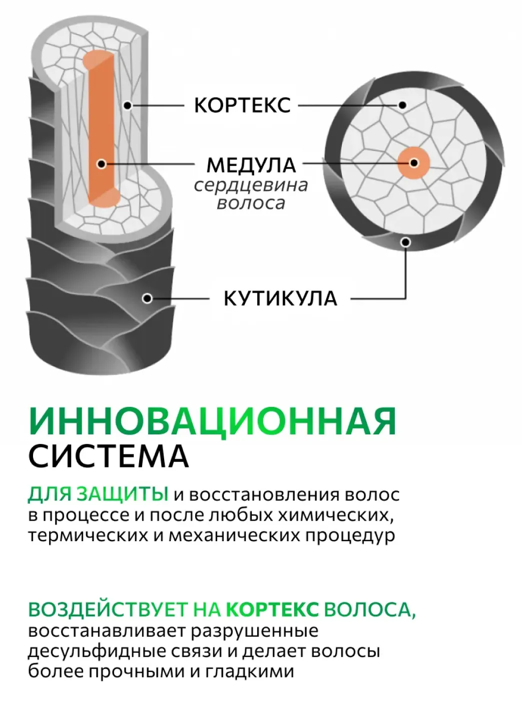 productImg