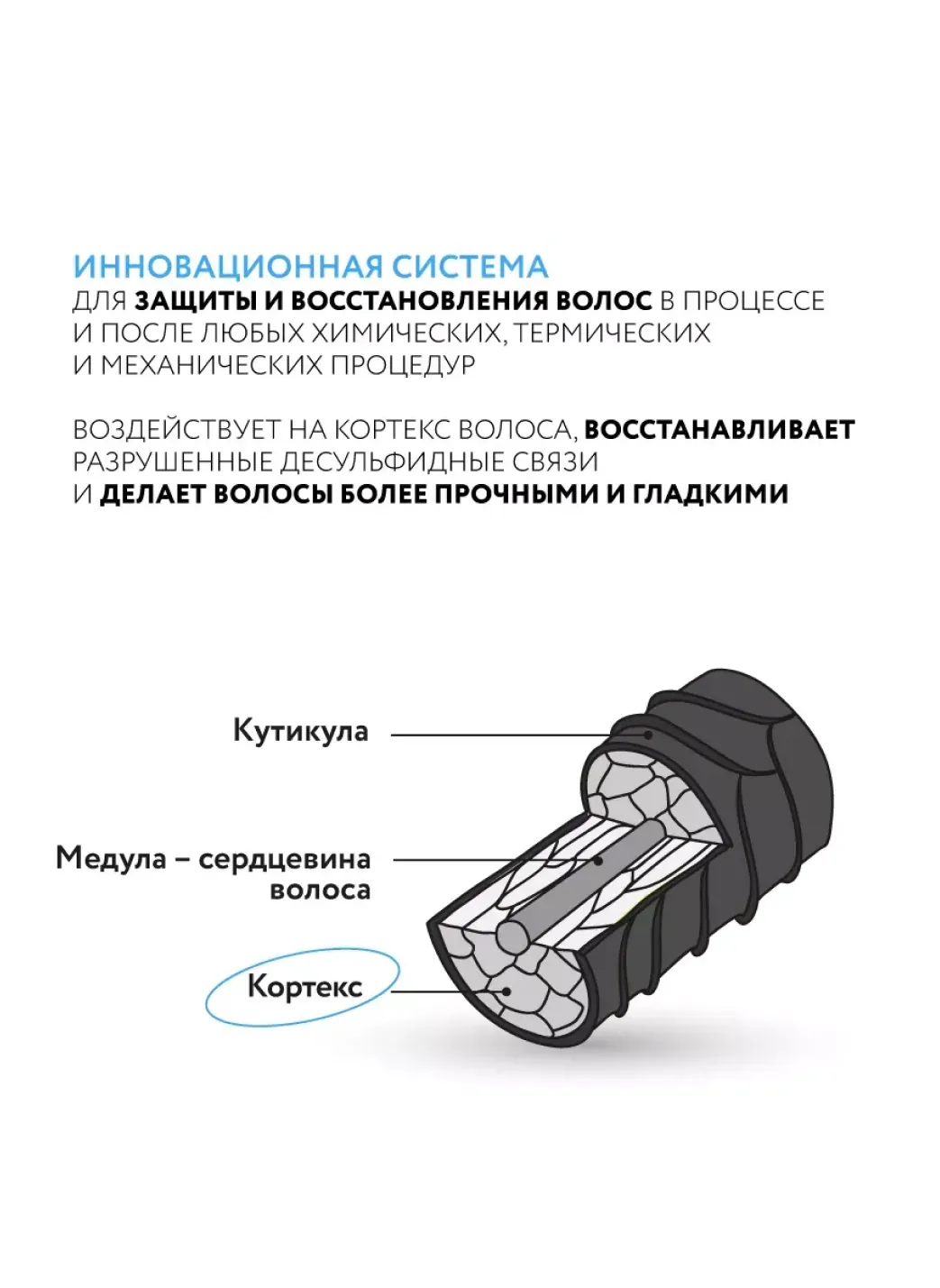 productImg
