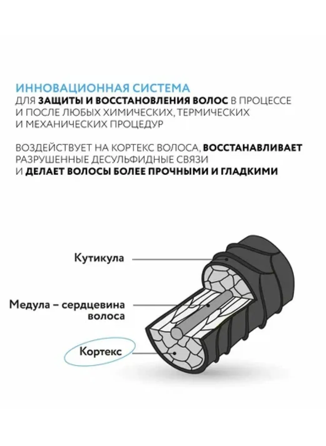 productImg